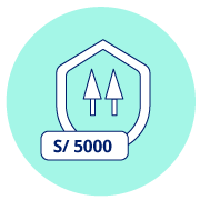 Boletin-Gastos-hormiga